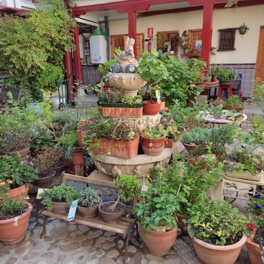 Hostal Castilla Aranjuez Buitenkant foto