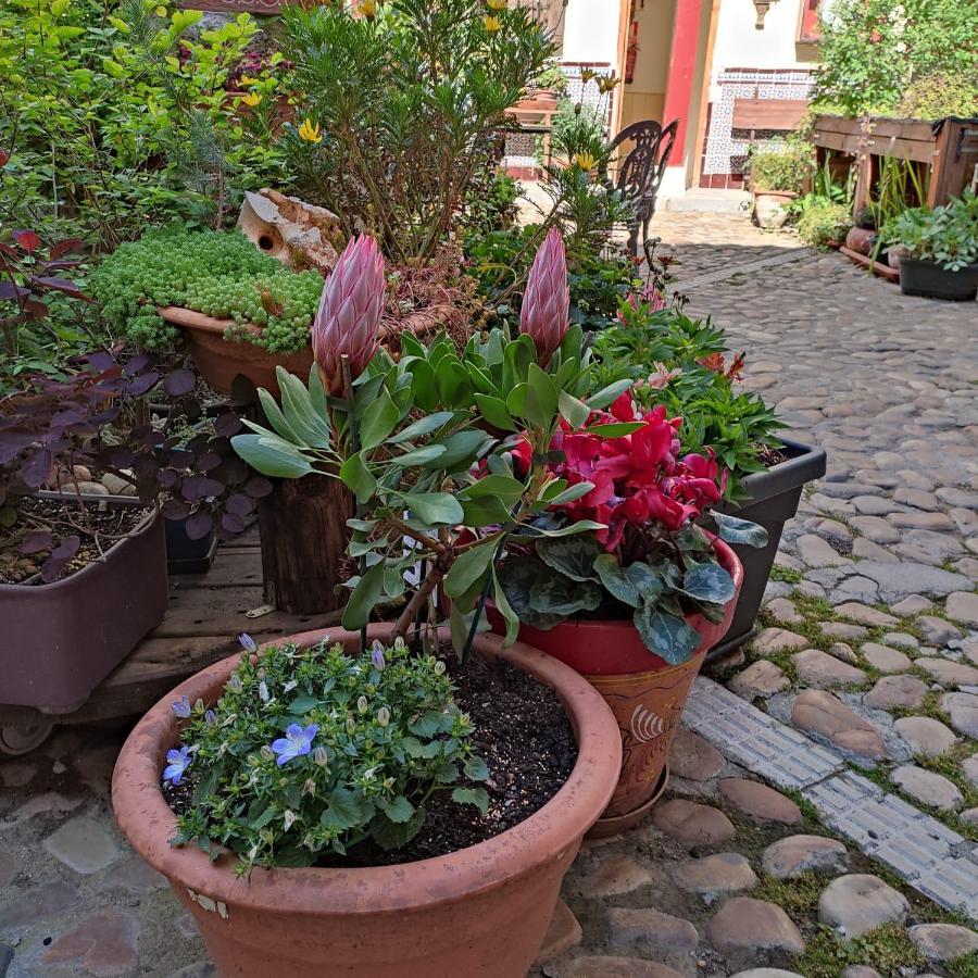 Hostal Castilla Aranjuez Buitenkant foto